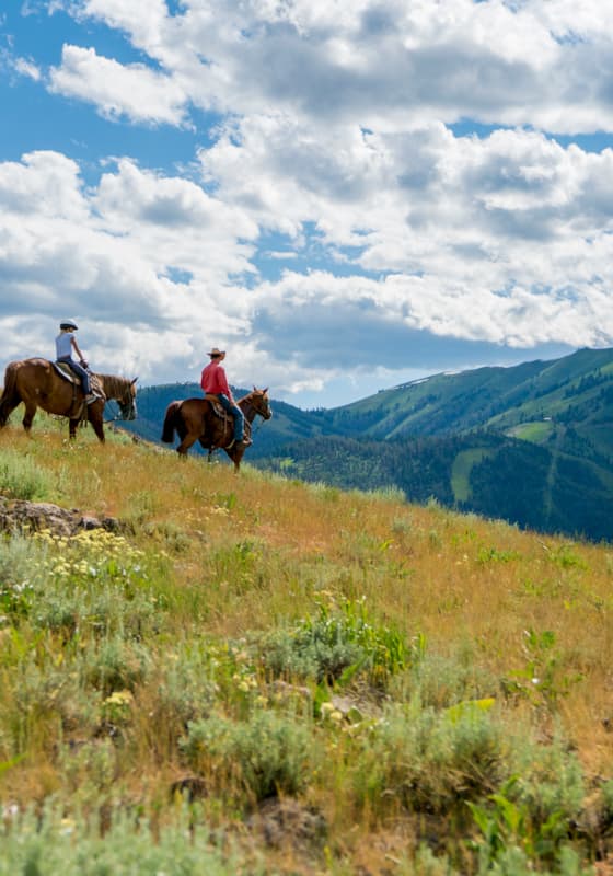 svr_dollar_horseback_2023_5-jpg